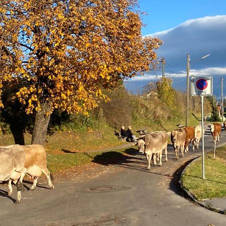 바트코흘그루프 Im-Oberland - Tal - 아파트 외부 사진