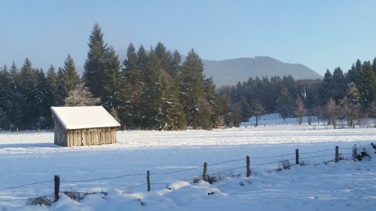 바트코흘그루프 Im-Oberland - Tal - 아파트 외부 사진