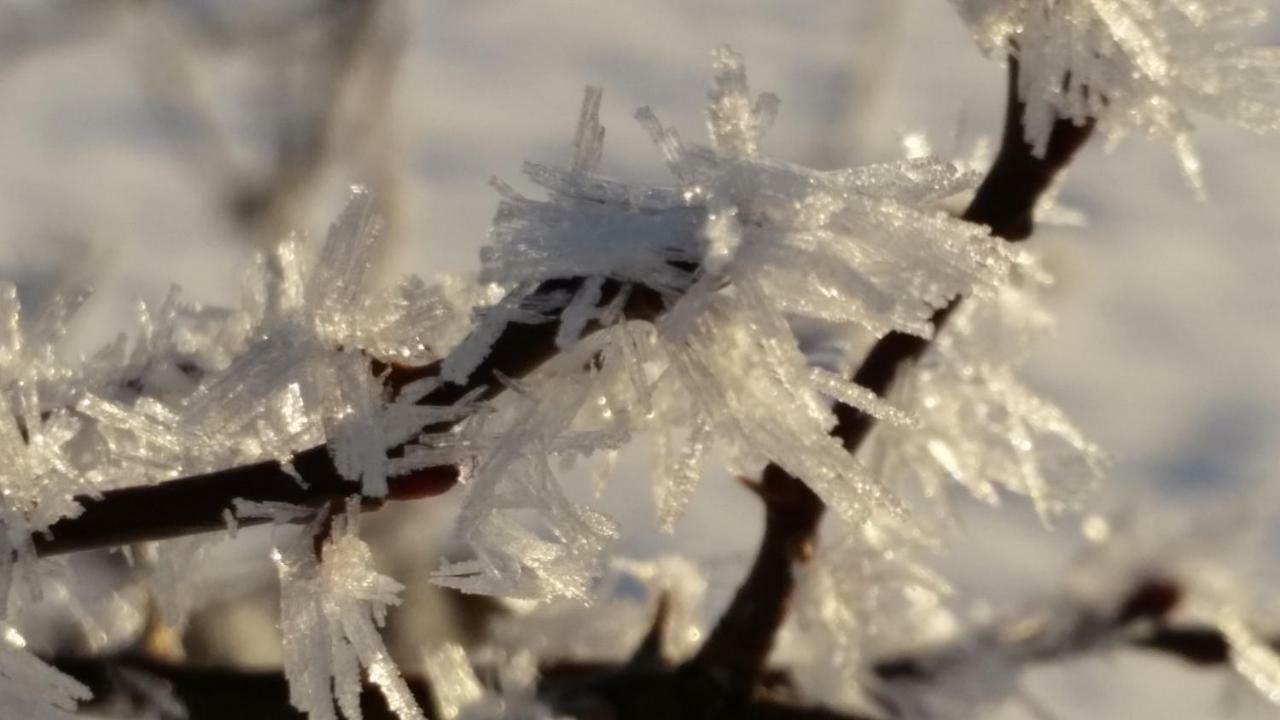 바트코흘그루프 Im-Oberland - Tal - 아파트 외부 사진